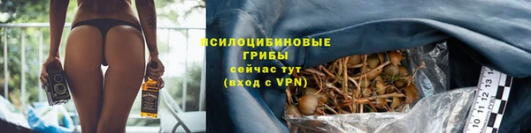 метадон Зеленодольск