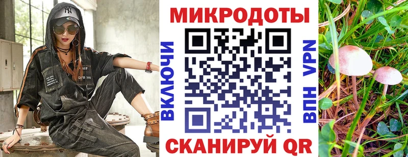 Купить где  Краснокаменск  Галлюциногенные грибы GOLDEN TEACHER 
